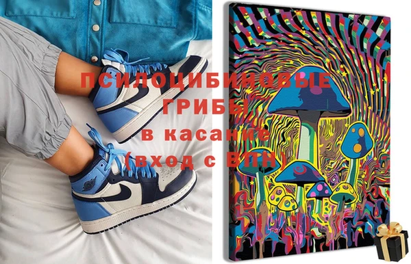 гашиш Абаза