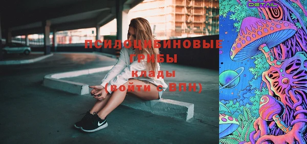 мдпв Абинск