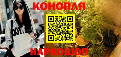 прущие крисы Беслан