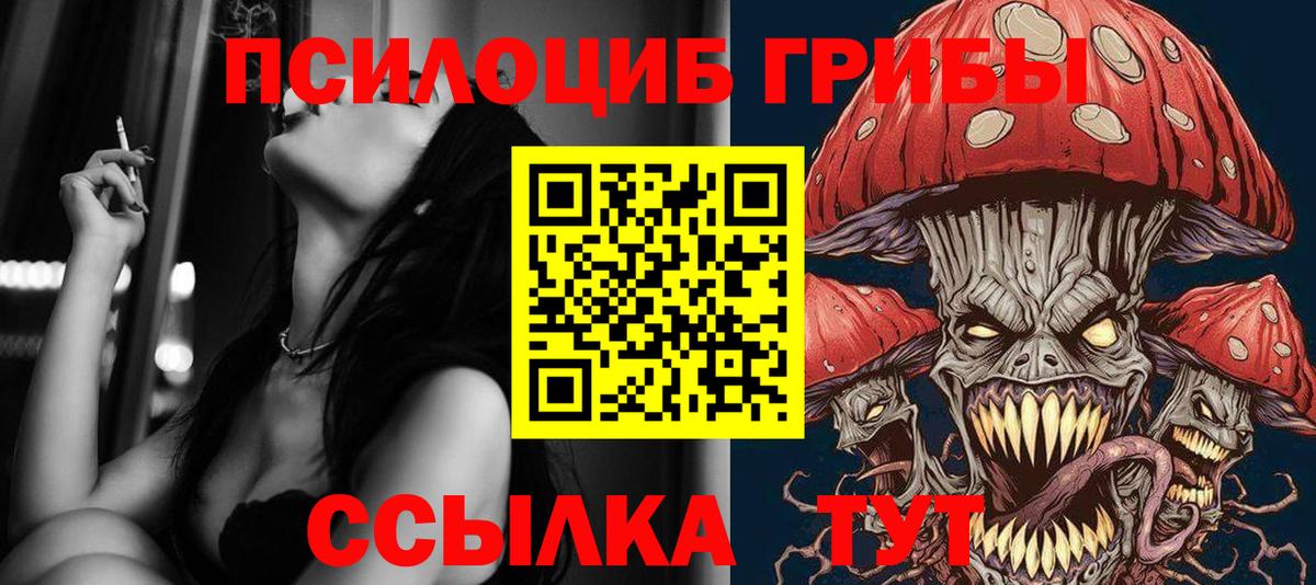 Димитровград  Псилоцибиновые грибы Magic Shrooms  Вход с VPN 