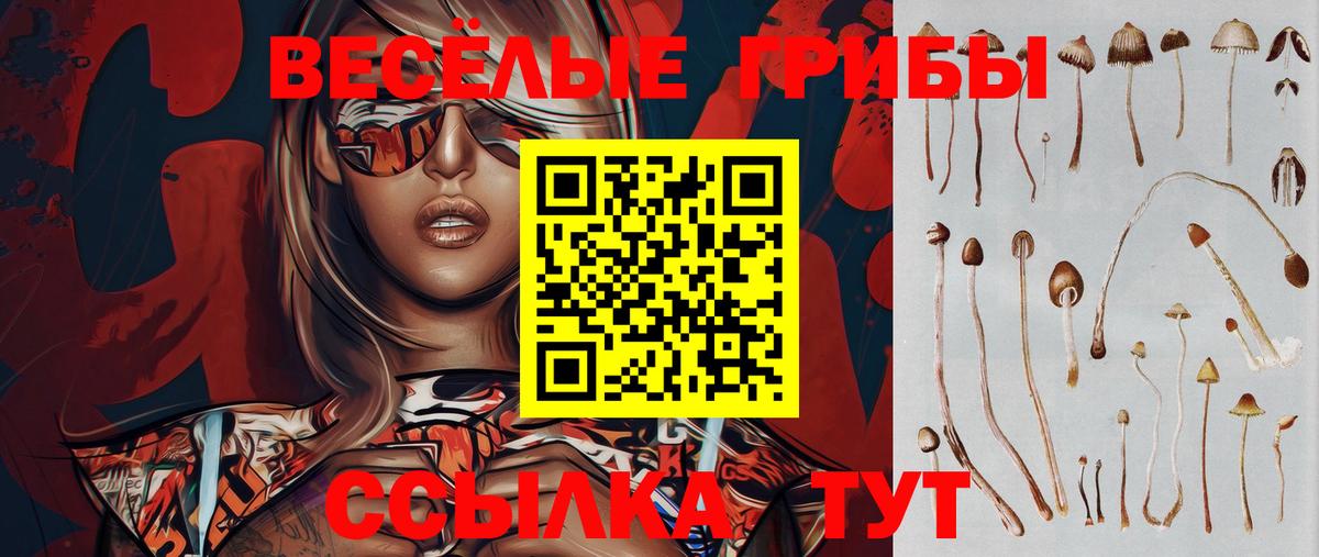 Псилоцибиновые грибы прущие грибы Димитровград